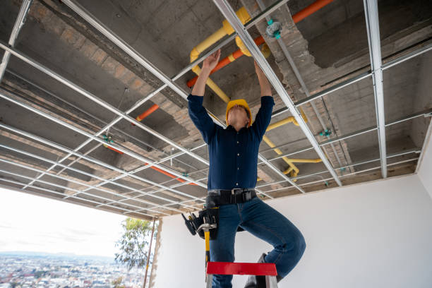 Best Toilet Repair Services  in Pineland, TX
