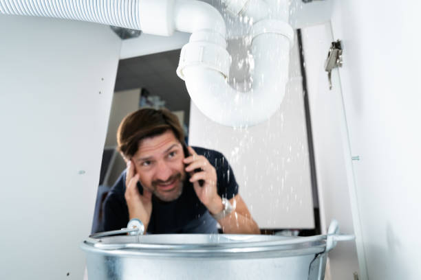 Best Best Plumbers Near Me  in Pineland, TX