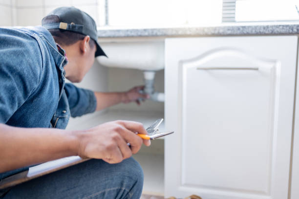 Best Same-Day Plumbing Service  in Pineland, TX