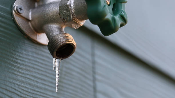 Best Plumbing Services Near Me  in Pineland, TX