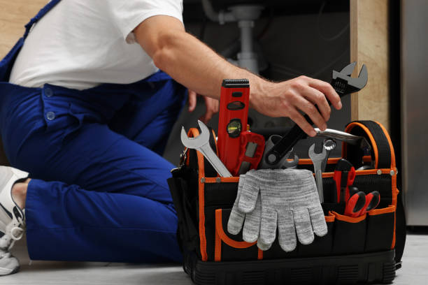 Best Plumbing Inspection Services  in Pineland, TX